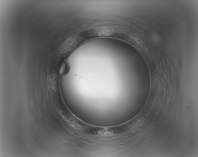 X0000060260311200510281212