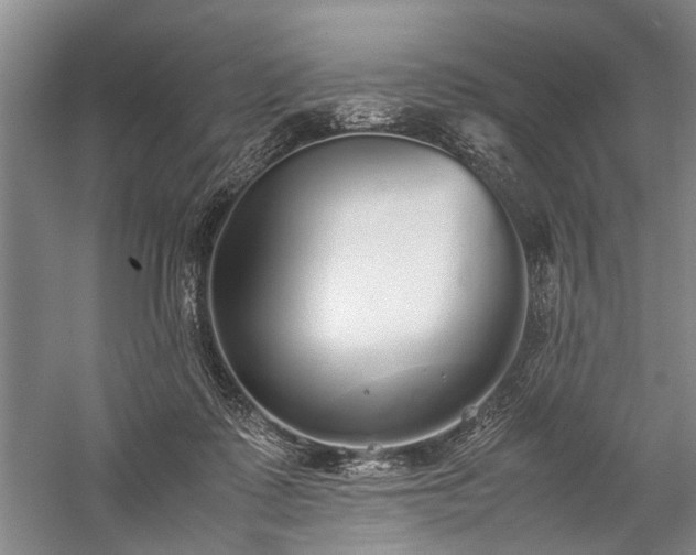 X0000060260315200510281212