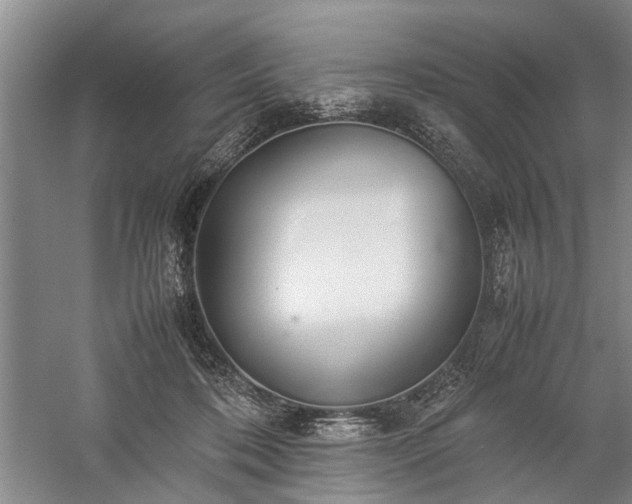 X0000060260316200510281212