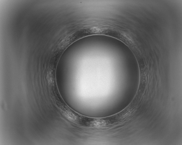 X0000060260317200510281212