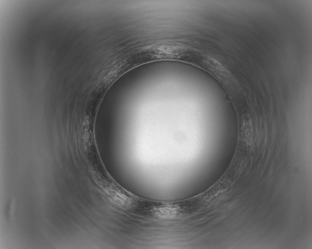 X0000060260318200510281212