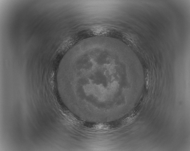 X0000060260319200510281212