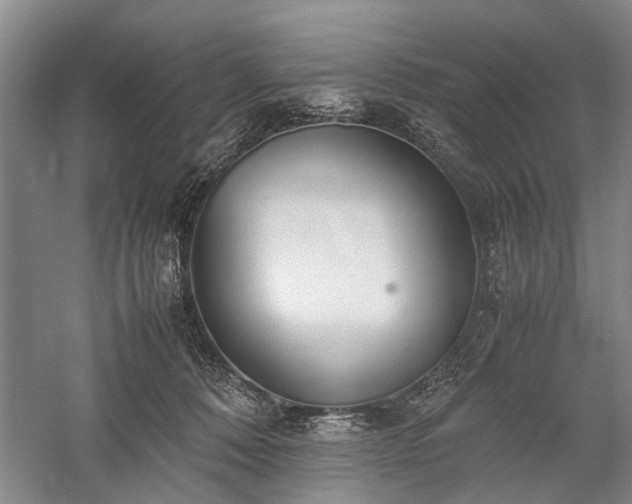 X0000060260320200510281212