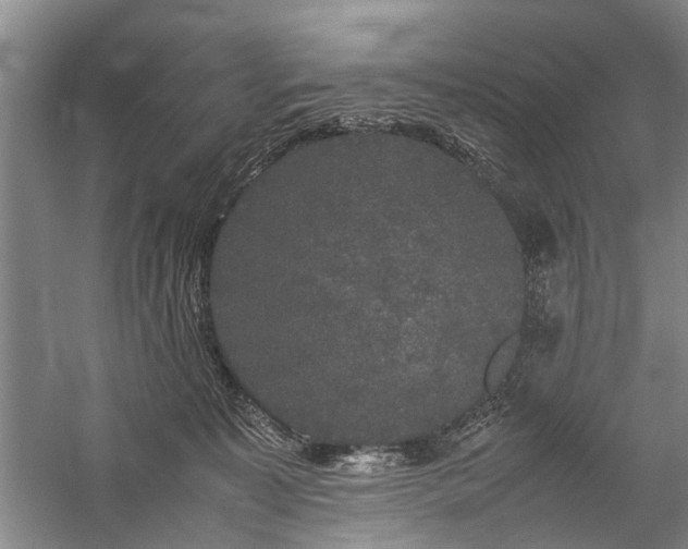 X0000060260323200510281212