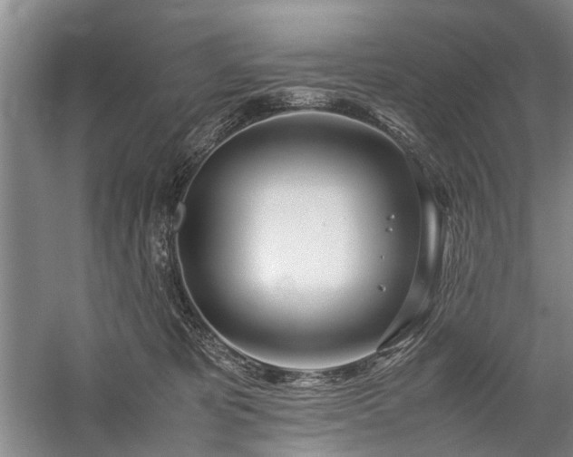 X0000060260325200510281212