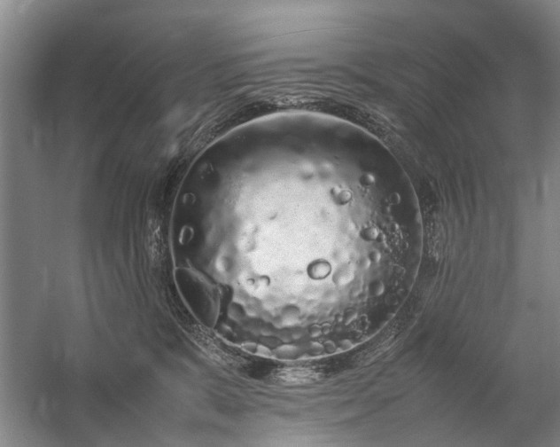 X0000060260327200510281212