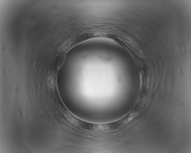 X0000060260329200510281212