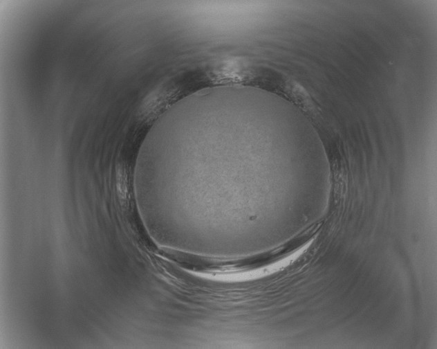 X0000060260331200510281212