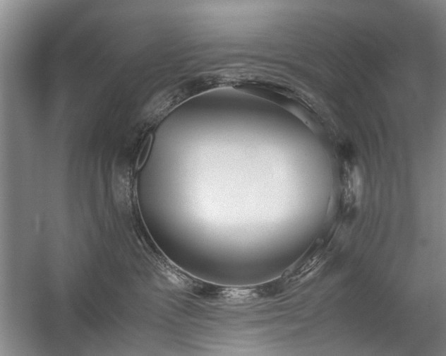 X0000060260333200510281212