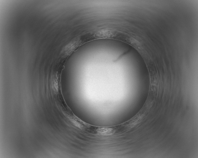 X0000060260334200510281212