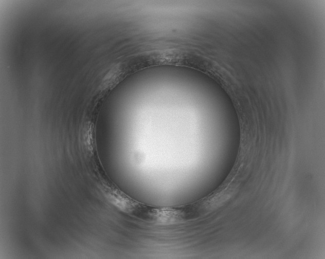 X0000060260336200510281212