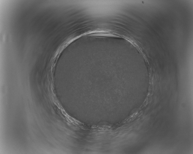 X0000060260337200510281211