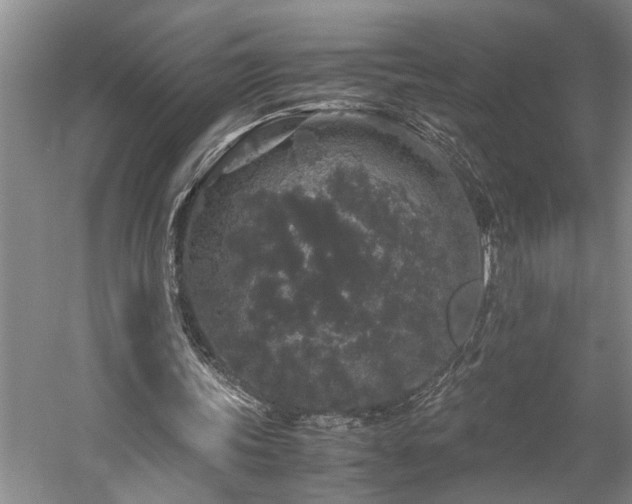 X0000060260339200510281211