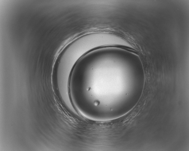 X0000060260340200510281211