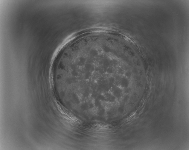 X0000060260343200510281211