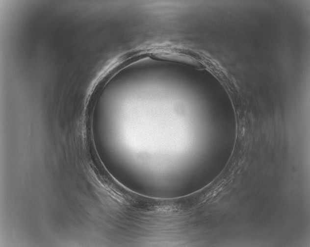 X0000060260344200510281211