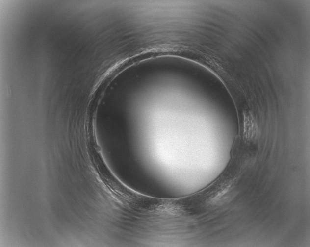 X0000060260348200510281211