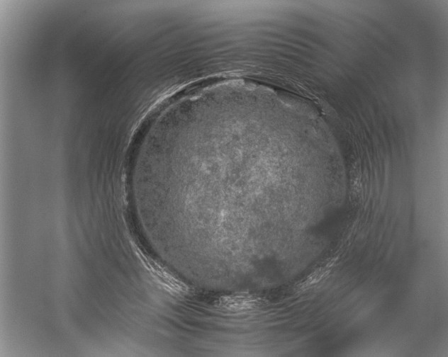 X0000060260351200510281211