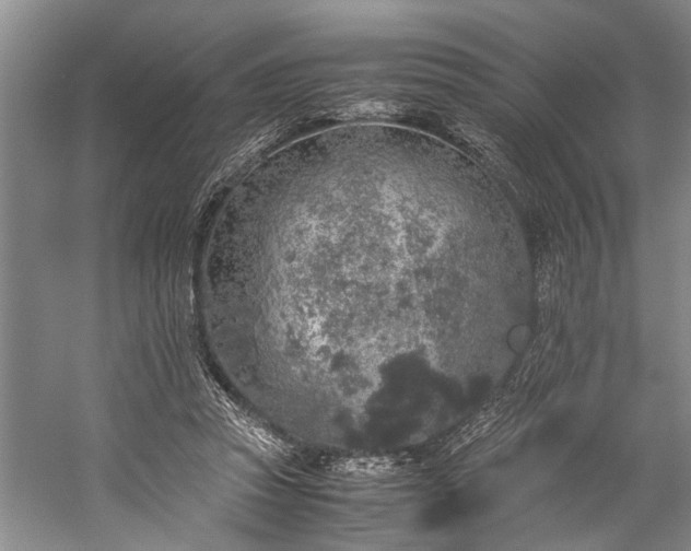 X0000060260353200510281211