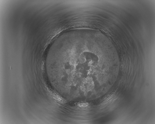 X0000060260355200510281211