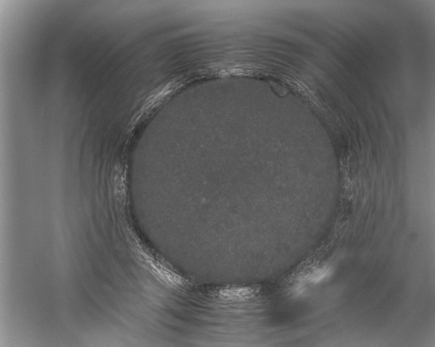 X0000060260357200510281211