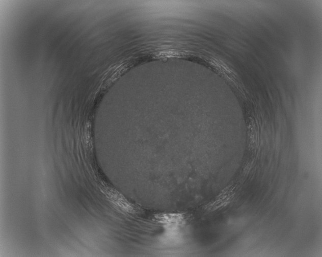 X0000060260361200510281211