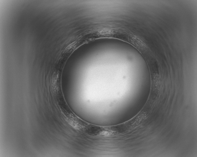 X0000060260364200510281211