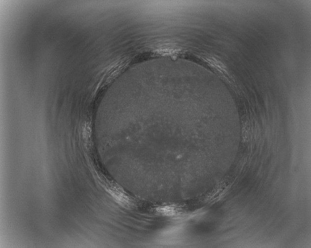 X0000060260365200510281211