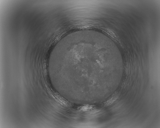 X0000060260366200510281211