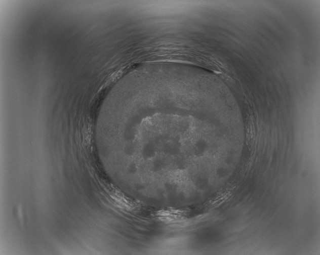 X0000060260367200510281211