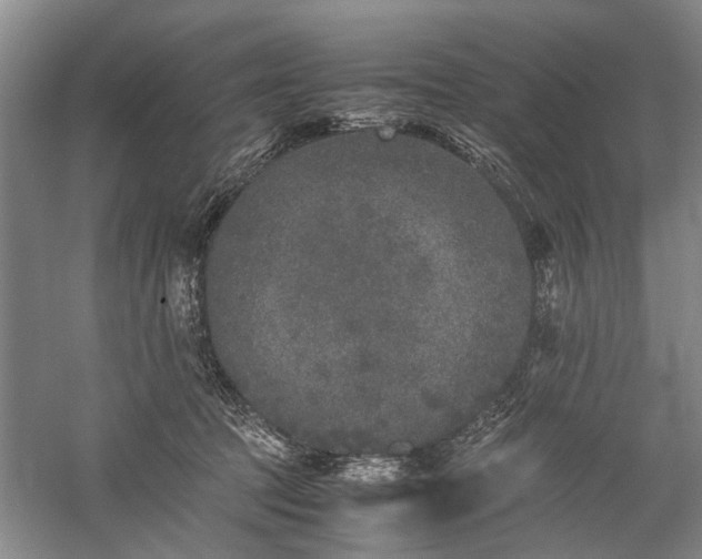 X0000060260369200510281212