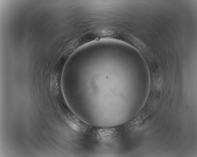 X0000060260373200510281212