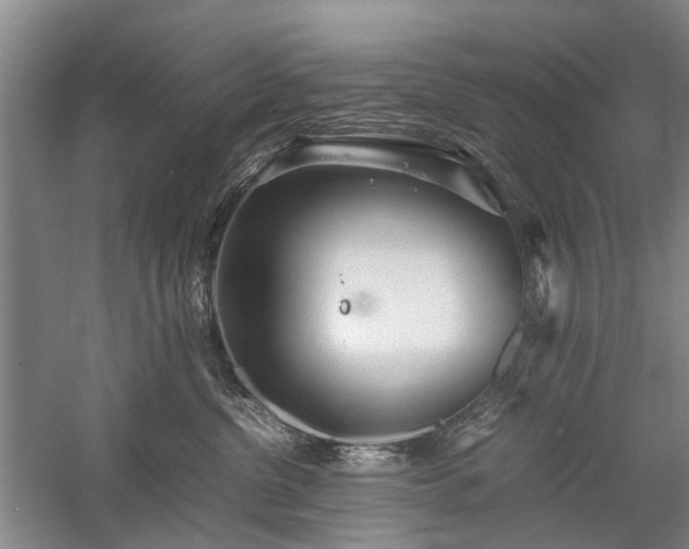 X0000060260380200510281212