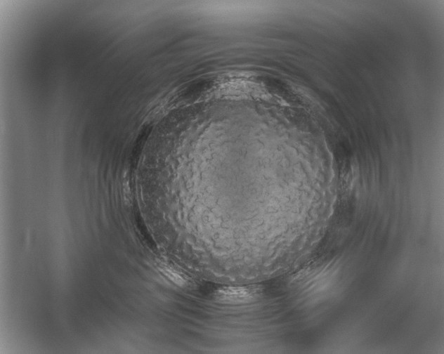 X0000060260381200510281212