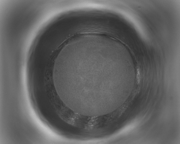 X0000060260383200510281212