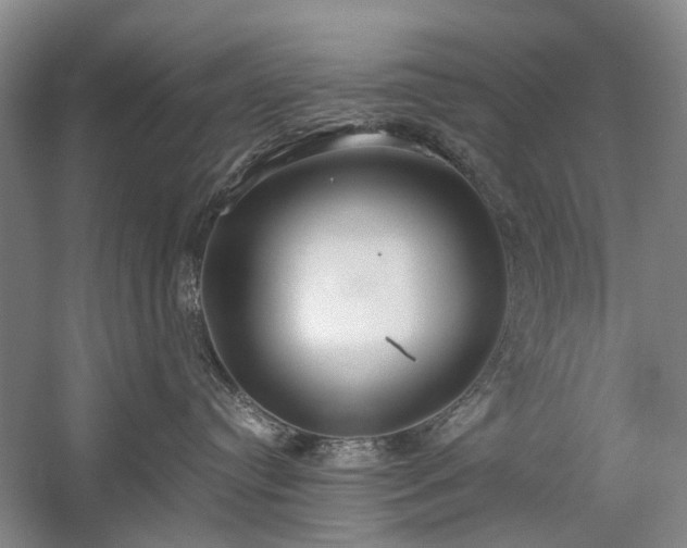 X0000060260384200510281212