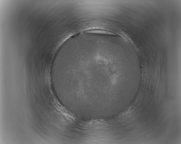 X0000060260386200510281211