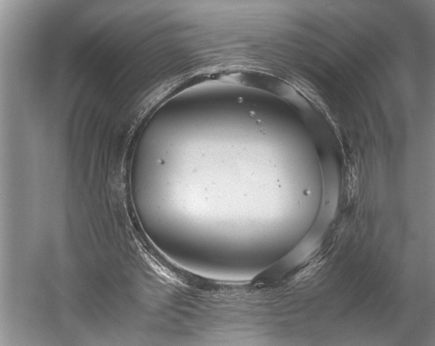 X0000060260389200510281211