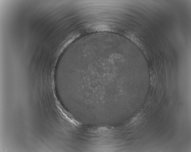 X0000060260390200510281211