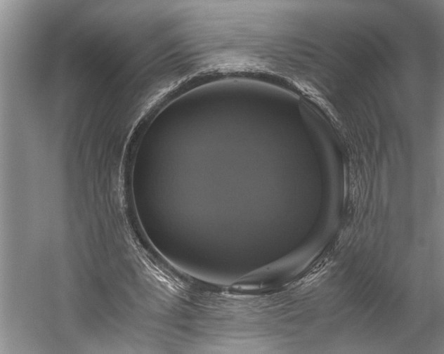 X0000060260391200510281211