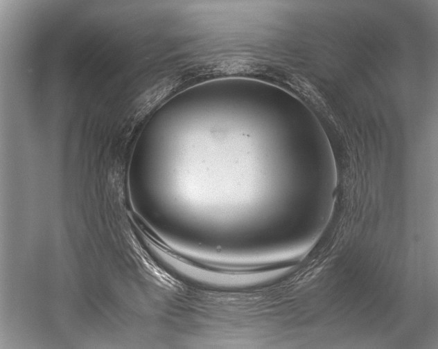 X0000060260393200510281211