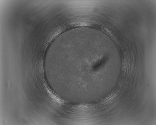 X0000060260394200510281211