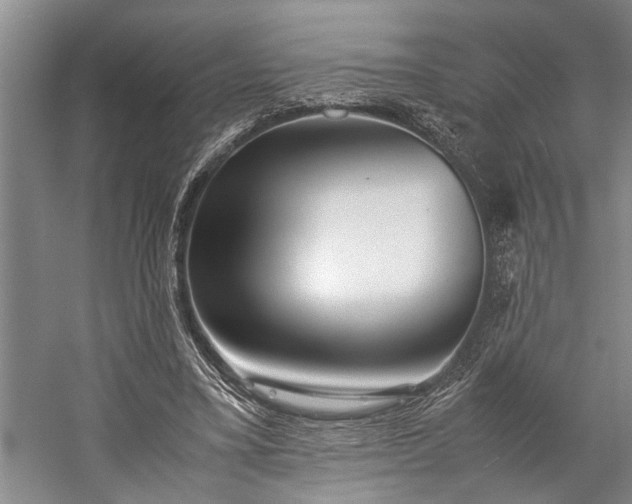 X0000060260395200510281211