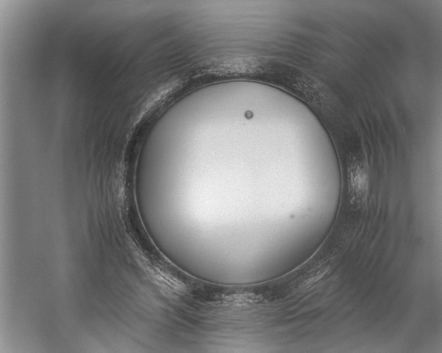 X0000060260396200510281211