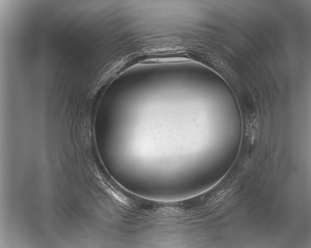 X0000060260397200510281211