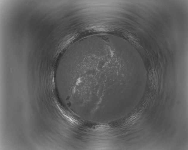 X0000060260398200510281211