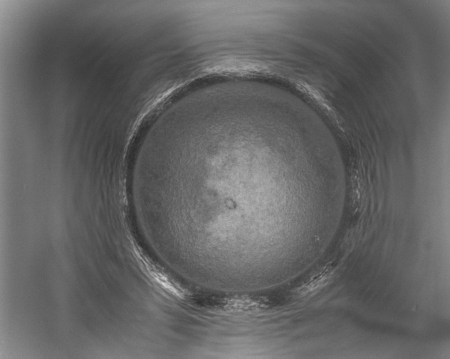 X0000060260399200510281211