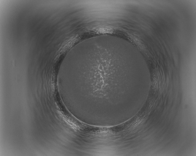 X0000060260402200510281211