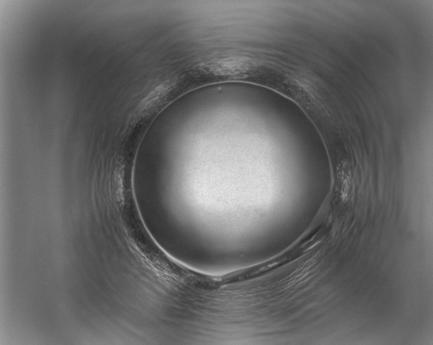 X0000060260404200510281211