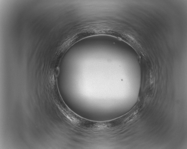 X0000060260405200510281211